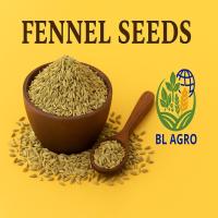 FENNEL SEEDS